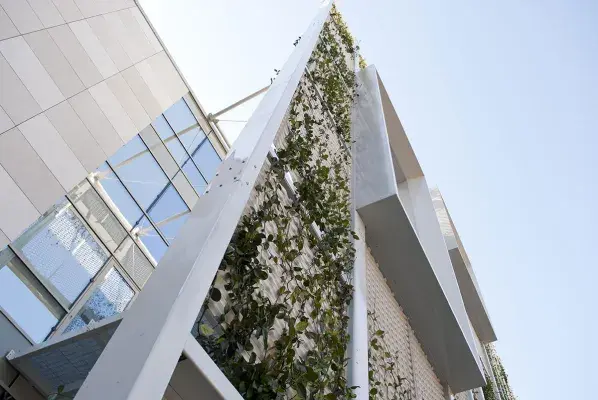 Expanded metal wall seen from below