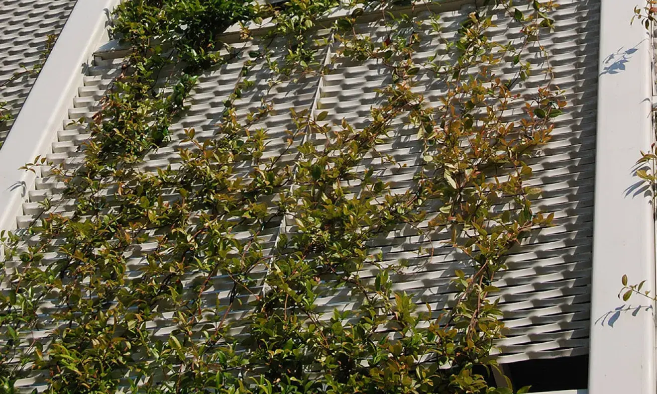 Detail of green facade with flowering plants